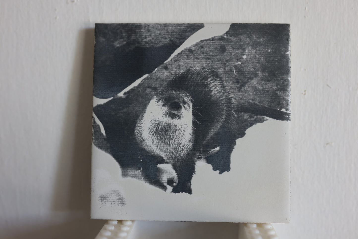 Curious Otter Coaster