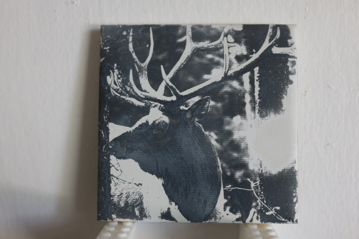 Massive Bull Elk Coaster