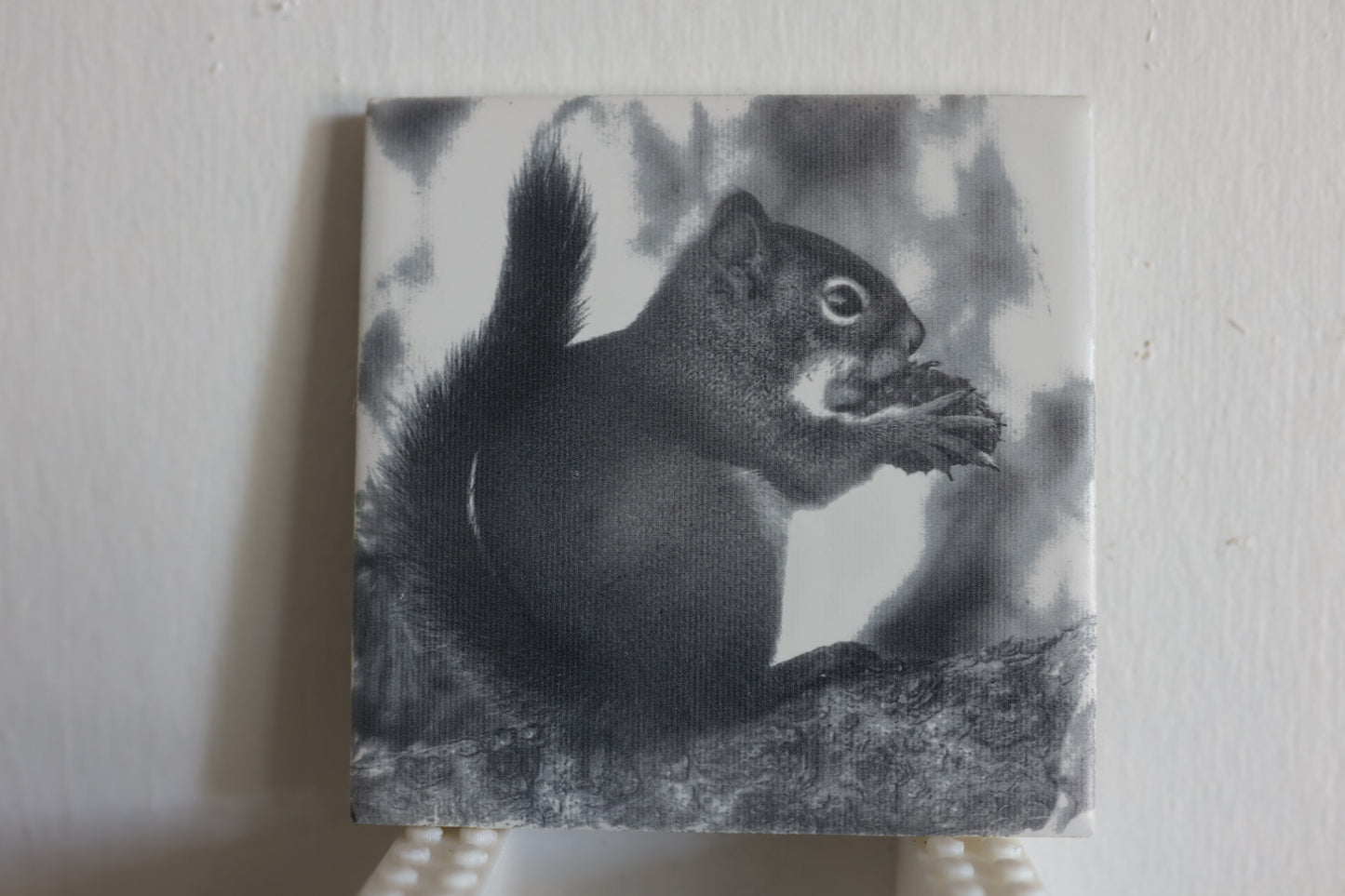 Hungry Squirrel Coaster