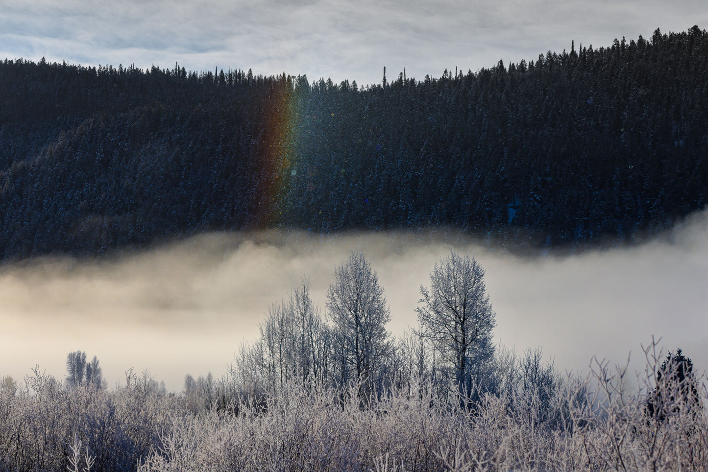 Light Through the Silence