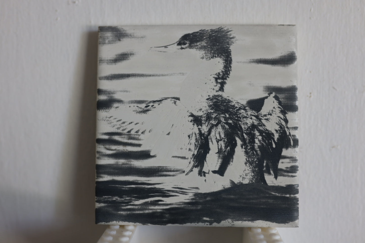 Common Merganser Coaster
