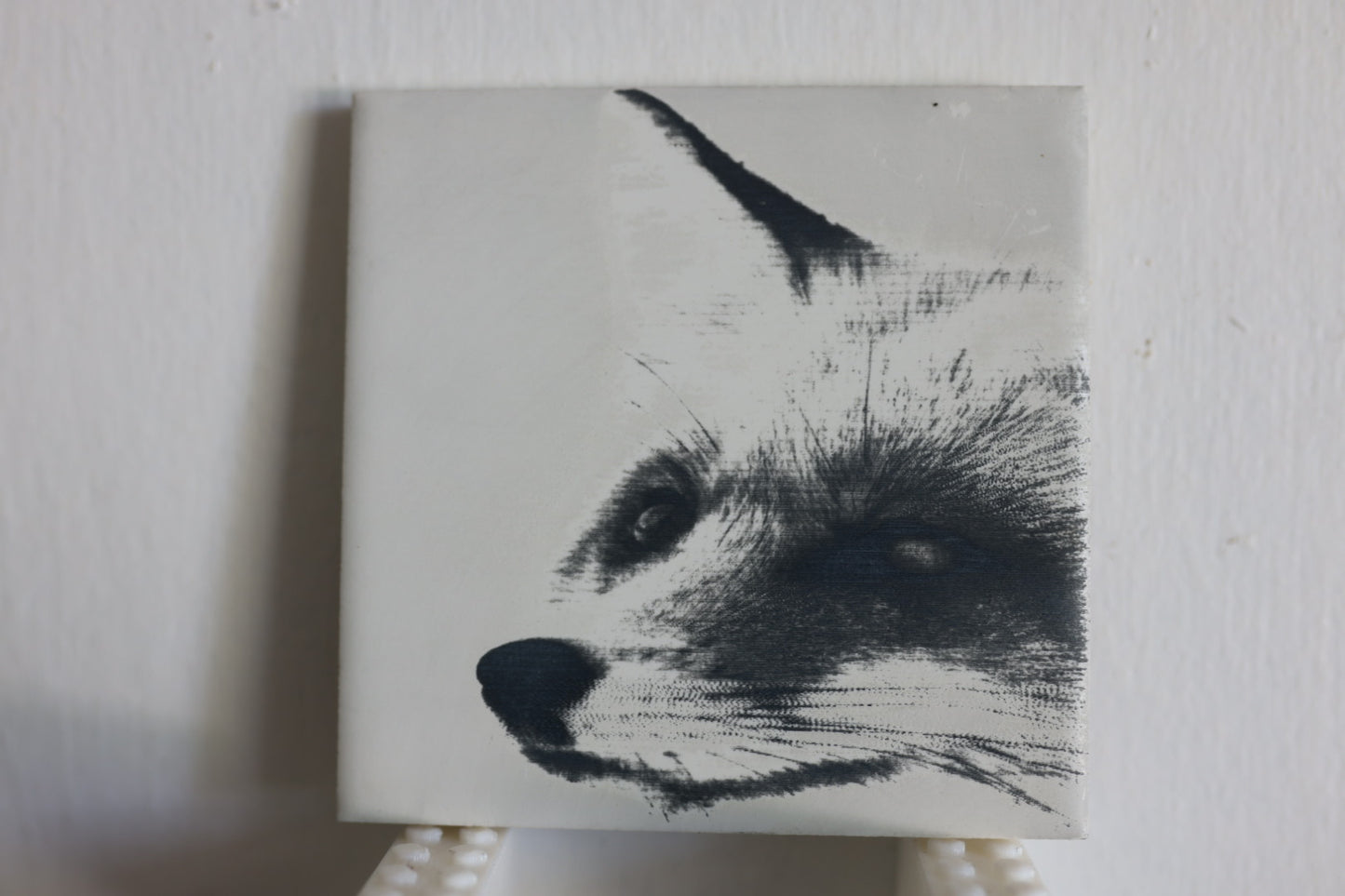 One-Eyed Fox Coaster