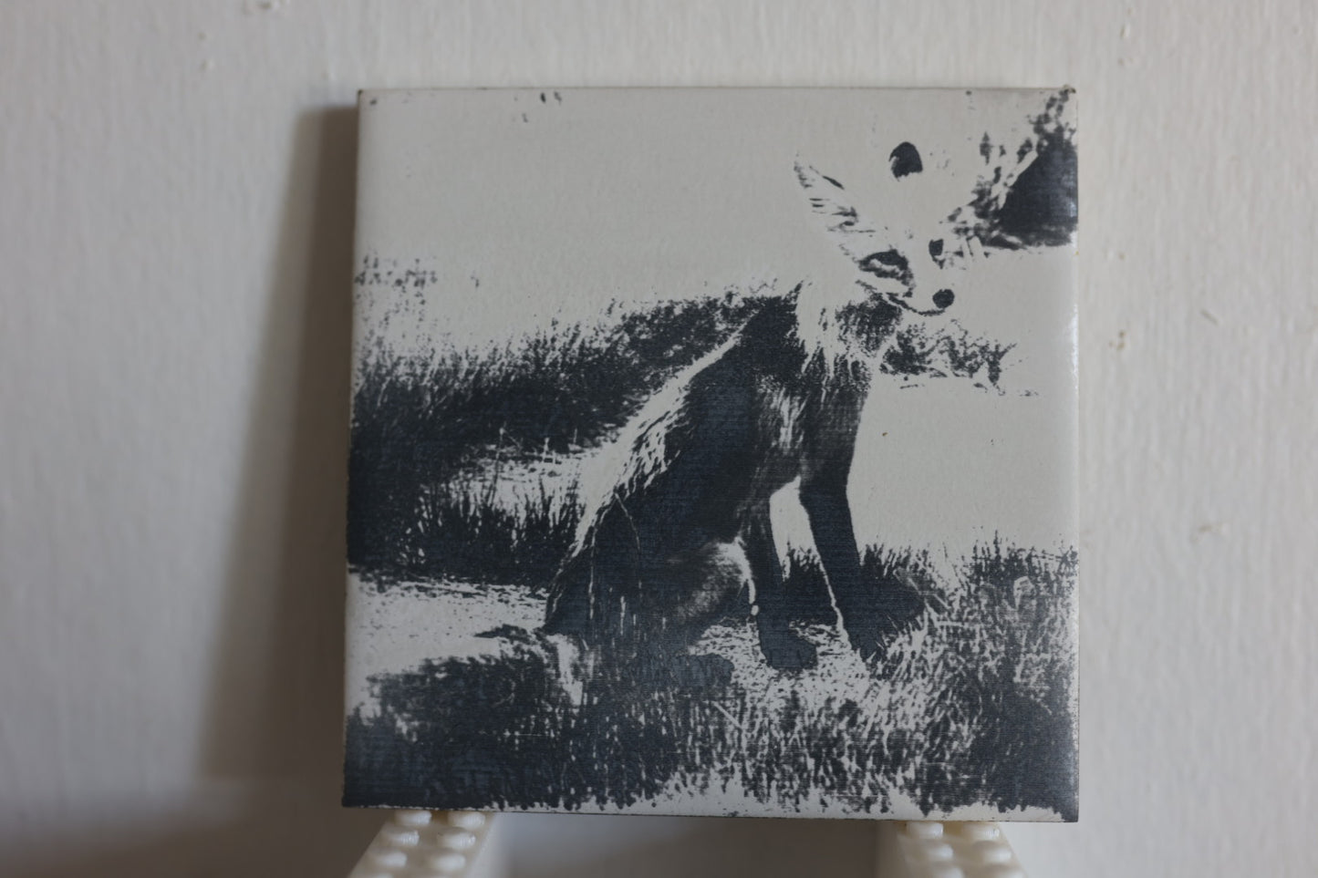 Red Fox Coaster