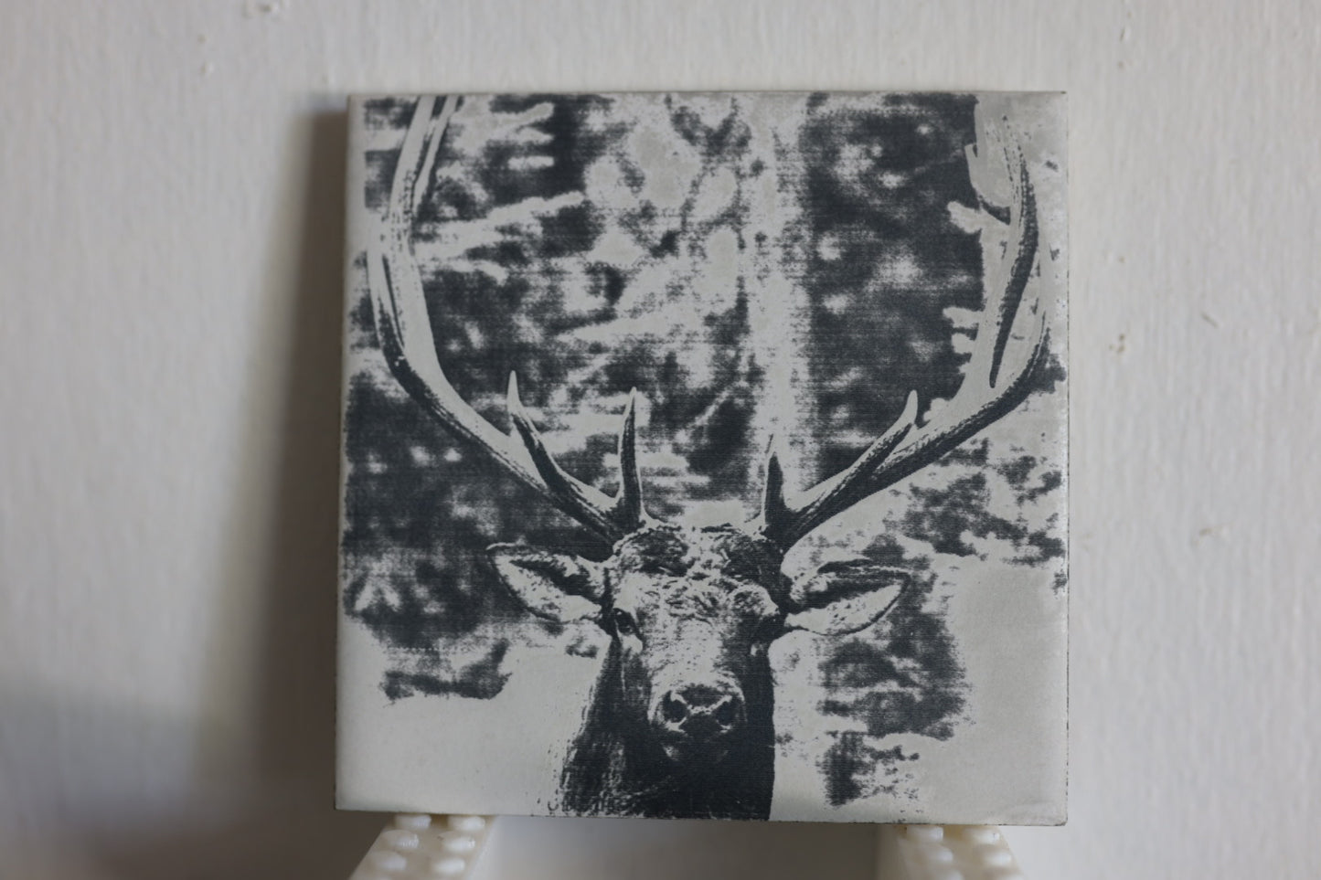 Stare Down Coaster