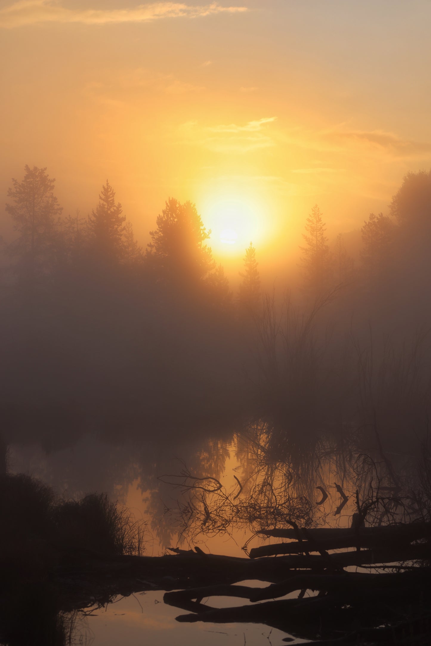 Sunrise Above Misty Pond