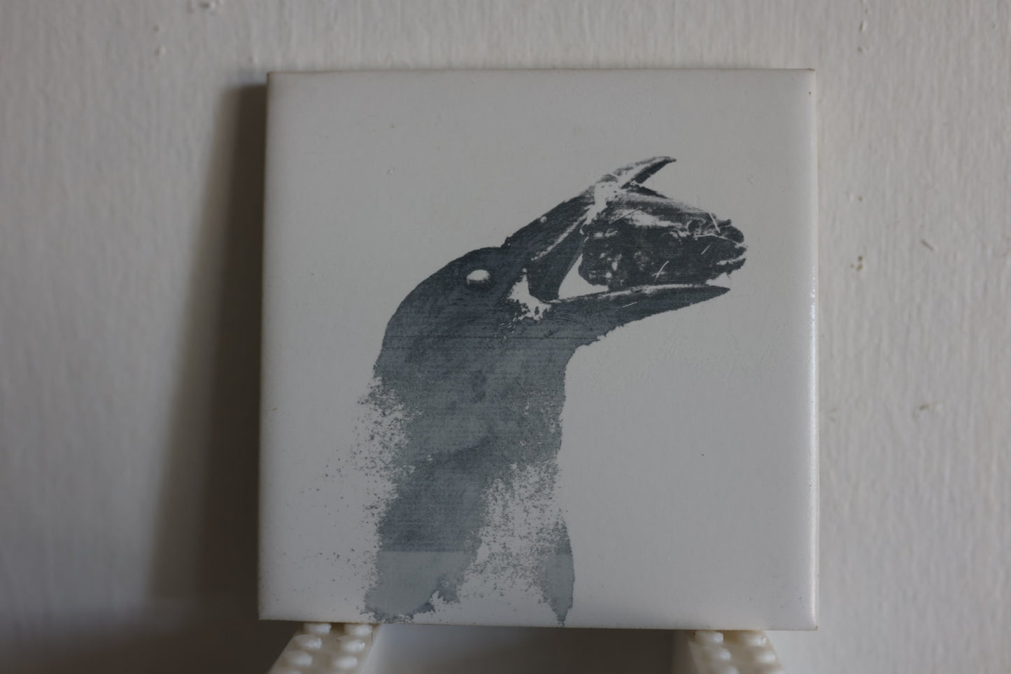 Unsettling Meal for a Raven Coaster