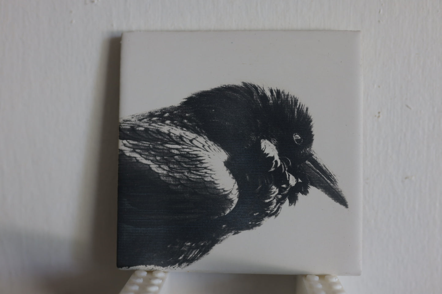 Vigilant Raven Coaster