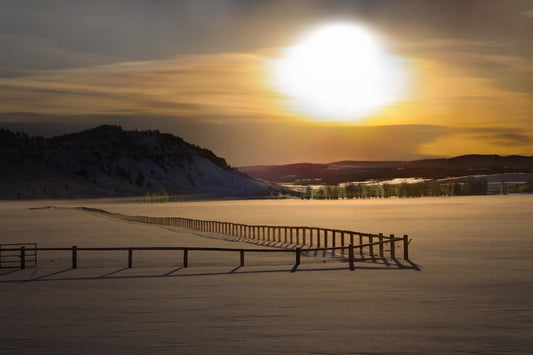 Sunrise Fence
