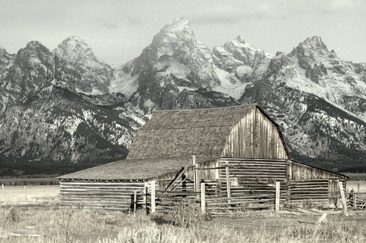 Morning Mormon Row