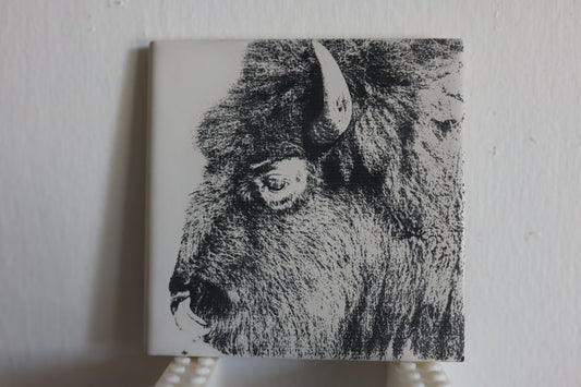 Bison Coaster