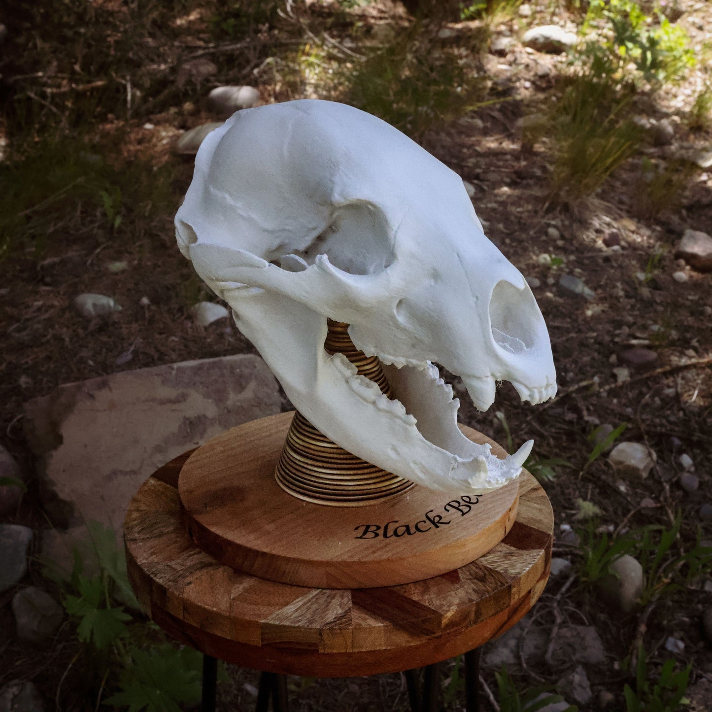 3D Printed Black Bear Skull