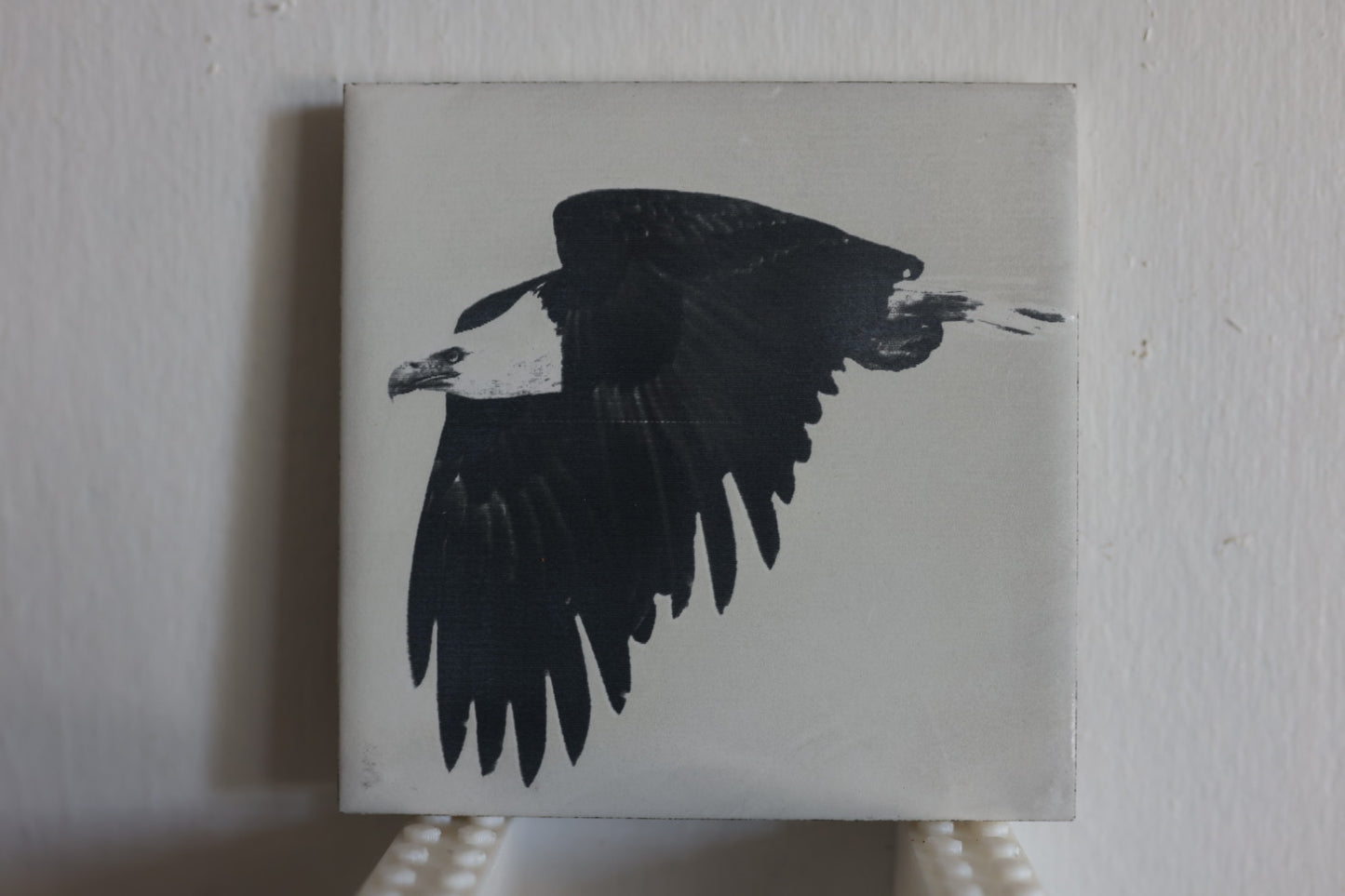 Flying Bald Eagle Coaster