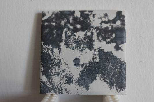 Grey Wolf Coaster