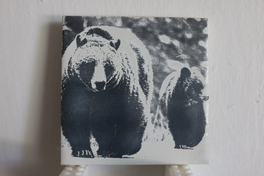 Grizzly 1063 and Cub Coaster