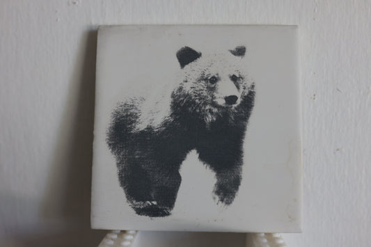 Grizzly Bear Cub Coaster