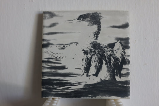 Common Merganser Coaster