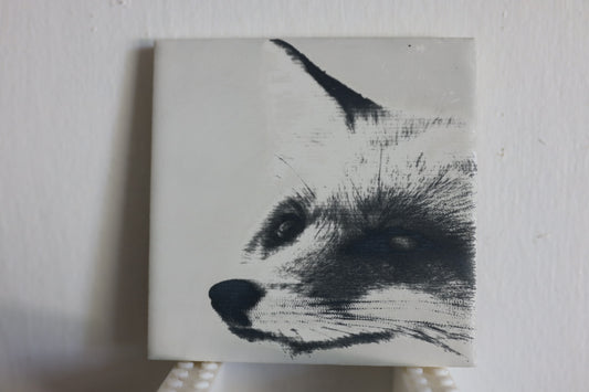 One-Eyed Fox Coaster