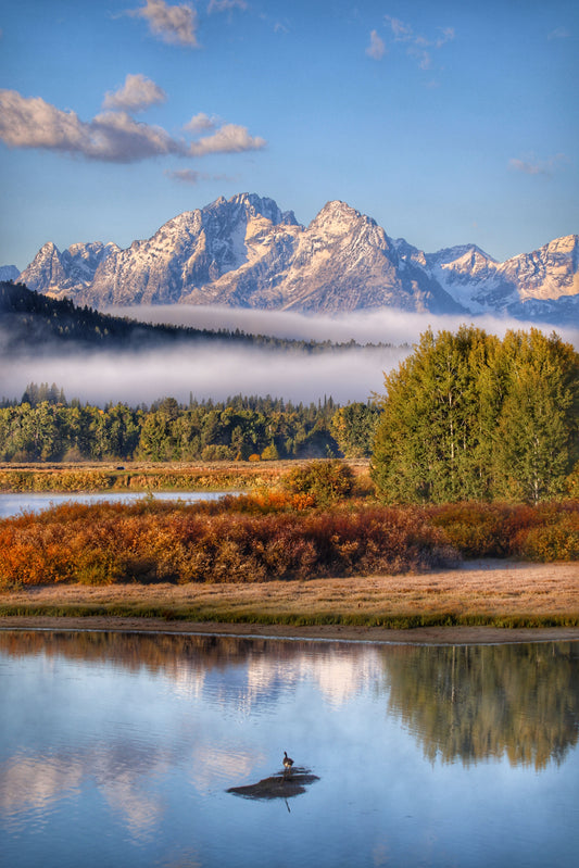 Oxbow Bend