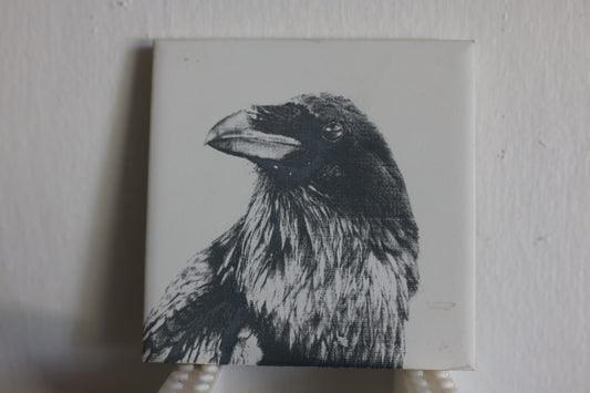 Raven Coaster