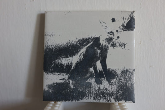 Red Fox Coaster