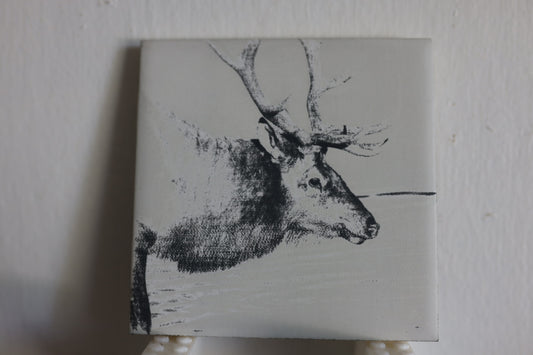 River Crossing Bull Elk Coaster