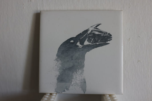 Unsettling Meal for a Raven Coaster