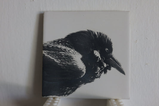 Vigilant Raven Coaster